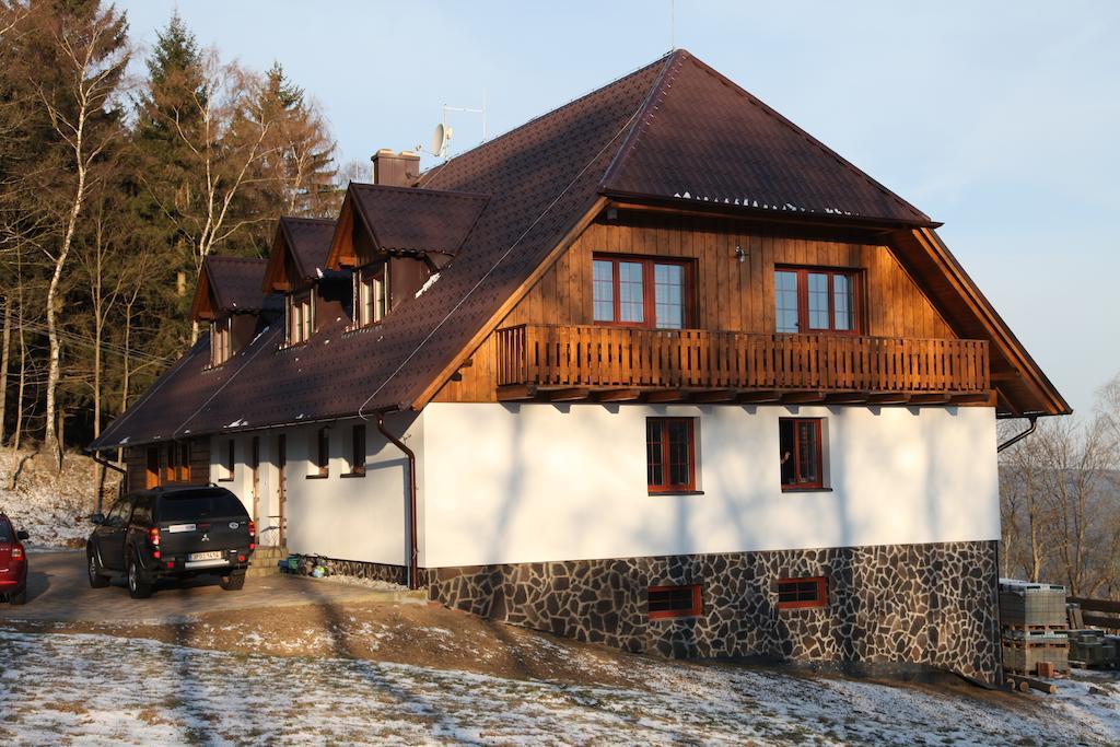 Hotel König-in Hojsova Stráž Exterior foto